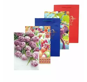 Пакет подарунковий №9 паперовий 30х45х12 см (12шт) Пакет подарунковий №9 паперовий 30х45х12 см (12шт)